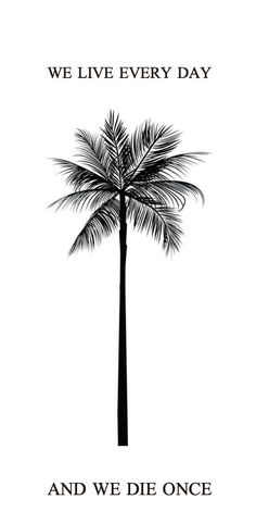 a black and white palm tree with the words, we live every day and we die once