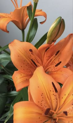 some orange flowers are in a vase on the table