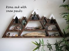 a wooden shelf filled with different types of rocks and other items next to a potted plant