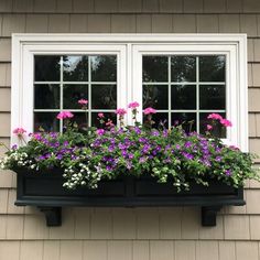 a window box filled with purple and white flowers