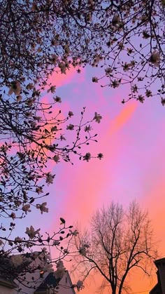 the sky is pink and purple with some trees in front of it on a sunny day