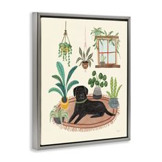 a black dog sitting on top of a rug next to potted plants