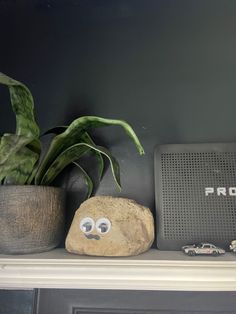 there is a rock with googly eyes on it next to a plant and radio