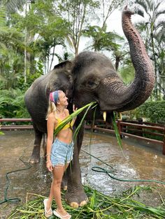 a woman standing next to an elephant in a lush green field with palm leaves on it's trunk