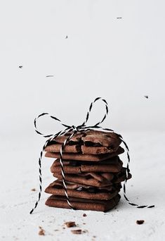 a stack of chocolate cookies tied up with a string and some flies in the background