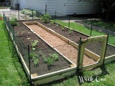 an outdoor garden with several plants growing in the ground and fenced off area around it