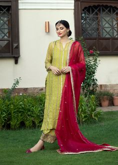 Lime Green Organza Outfit – Purple Haze Design Studio Organza Outfit, Combination Dresses, Mehendi Outfits, Tandoori Masala, Pakistani Fancy Dresses, Pakistani Fashion Party Wear, Dress Design Patterns, Simple Pakistani Dresses, Designer Party Wear Dresses