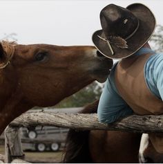 a man in blue shirt and cowboy hat kissing a brown horse on the nose,