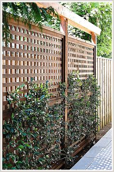 Outdoor Privacy Screens - No clue how to start searching for the right solution for your needs? Explore no further, check out Amazon for everything you need. Yard Privacy, Privacy Ideas, Patio Privacy, Privacy Fence Designs, Privacy Landscaping, Garden Privacy, Backyard Privacy, Privacy Screen Outdoor