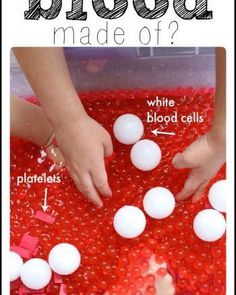 an image of blood made out of white and red beads with text overlay that reads how to make blood made of?