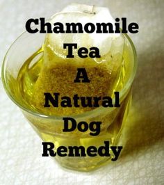 a glass cup filled with tea next to a white tablecloth and the words chamomile tea a natural dog remed