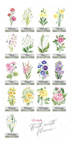 the different types of flowers are shown in this image, and each flower has its own name