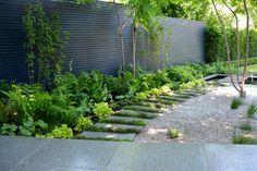 an outdoor garden area with stone steps and plants growing along the side of the wall