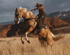 a man riding on the back of a brown horse across a dry grass covered field