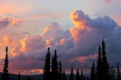 the sky is pink and blue with clouds above trees in the foreground as the sun sets