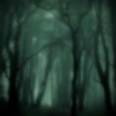 a dark forest filled with lots of trees covered in green fog and light shining through the branches