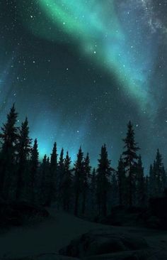 the night sky is filled with green and blue aurora bores, as well as stars