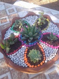 a potted plant with rocks and plants in it on a patio table top that looks like a peace sign