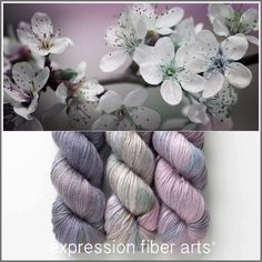 two pictures with white flowers and purple yarn in the foreground, one is an apple blossom