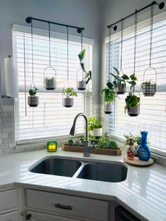 a kitchen sink with plants hanging from the windows