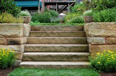 stone steps lead up to a garden with yellow flowers