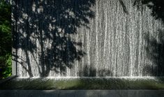 the shadow of a tree on the wall is cast by water flowing down it's sides