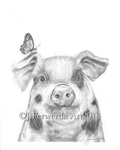 a drawing of a pig with a butterfly on its nose