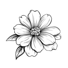 a black and white drawing of a flower