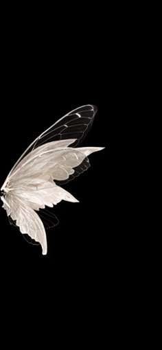 a white bird flying in the dark with its wings spread