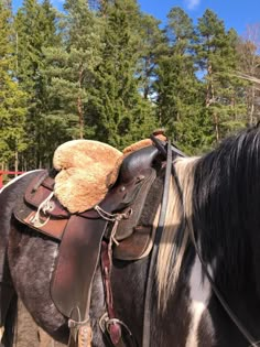 a brown teddy bear is sitting on the back of a horse's saddle, with trees in the background