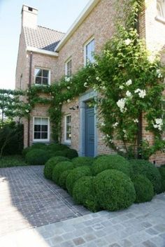 a brick house with green bushes and white flowers on the front door, along with a stone walkway