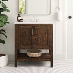 a bathroom with a sink, mirror and potted plant on the floor in front of it