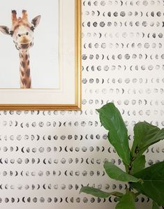 a giraffe's head is framed on the wall next to a plant