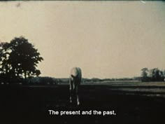 a white horse standing in the middle of a field next to a large tree and an overcast sky