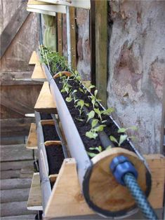 a row of planters with plants growing in them