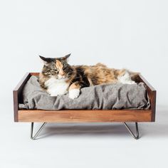 a cat laying on top of a dog bed in a wooden frame with metal legs