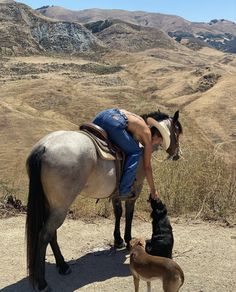 a person on a horse with a dog and a horse standing next to each other