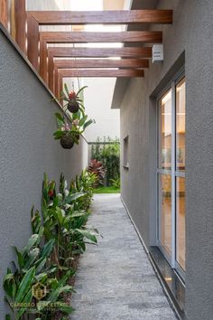 the walkway is lined with plants and potted plants on either side of the house