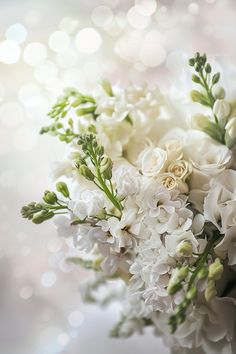 a bouquet of white flowers with green stems on a light colored background, close up