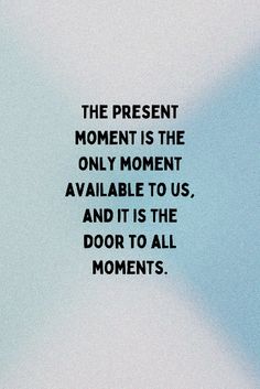 the present moment is the only moment available to us, and it is the door to all moments