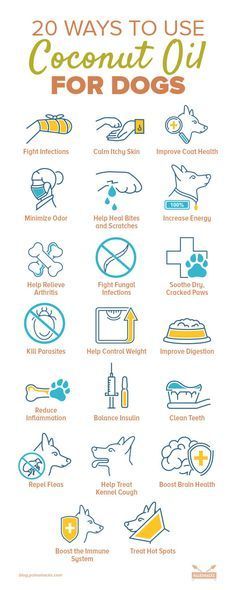 an info poster with the words 20 ways to use coconut oil for dogs on it