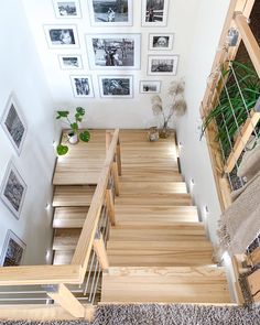 the stairs are made of wood and have pictures on the wall above them, along with potted plants