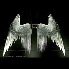 two white angel wings with long fringes hanging from the ceiling in front of a black background