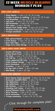 the back side of a poster with instructions to build a muscle building workout plan