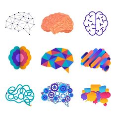 different types of brain shapes and colors