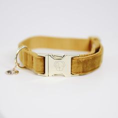 a dog collar with a metal buckle on it's side and a keychain attached to the collar