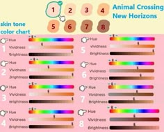 an info sheet with different colors and numbers for the skin tone, color chart, and other