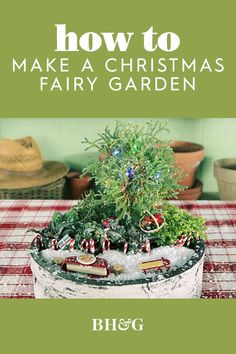 a potted christmas tree sitting on top of a table