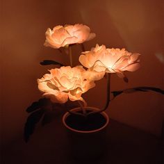 three white flowers in a brown vase lit up by the light coming from behind them