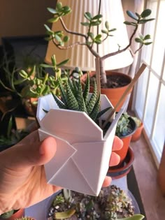 a person holding an origami plant in front of some succulents